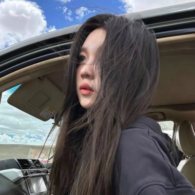 我的新野蛮女友